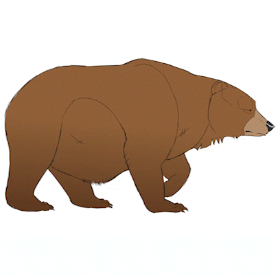 Bachelor Animation